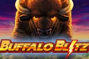 PlayTech의 온라인 슬롯 Buffalo Blitz